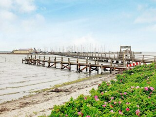 Casa per le vacanze Wackerballig  9