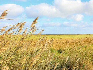 Vakantiehuis Thorsminde  10