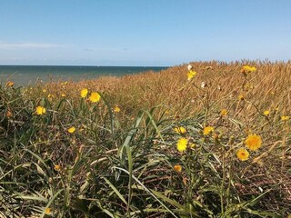 Vakantiehuis Harboøre  22