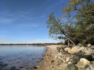 Ferienhaus Rønde  11