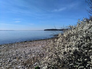 Vakantiehuis Rønde  16