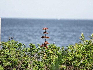 Maison de vacances Middelfart  20