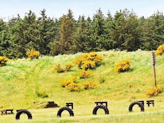 Vakantiehuis Tranum Strand  23