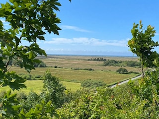 Vakantiehuis Tranum Strand  18