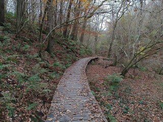 Casa de vacaciones Tranum Strand  12