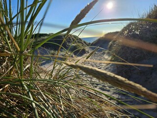 Casa per le vacanze Søndervig  31