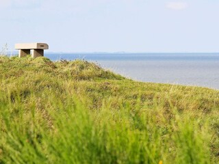 Ferienhaus Humlum  21