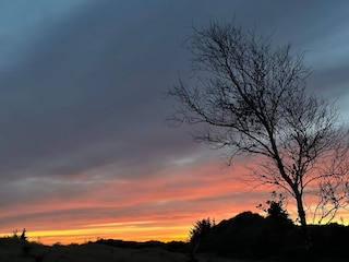 Ferienhaus Blåvand  27