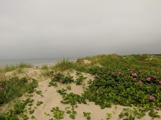 Ferienhaus Blåvand  36