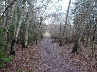 Casa per le vacanze Udsholt Strand  31