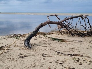 Casa per le vacanze Tversted  13