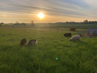 Casa per le vacanze Østby  8