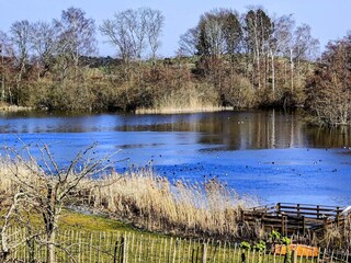 Casa per le vacanze Østby  21
