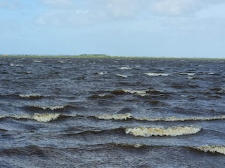 Ferienhaus Bork Havn  15