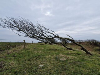 Vakantiehuis Hostrup Strand  9