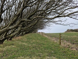 Ferienhaus Hostrup Strand  35