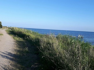 Ferienhaus Nysted  20