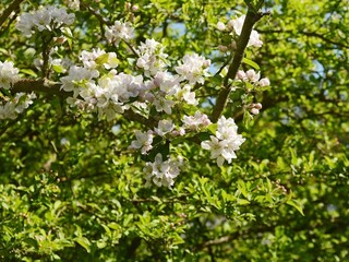 Holiday house Stavreby  22