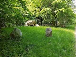 Ferienhaus Stavreby  13