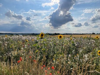 Holiday house Stavreby  28