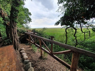 Ferienhaus Stavreby  14