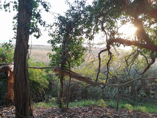 Holiday house Stavreby  33