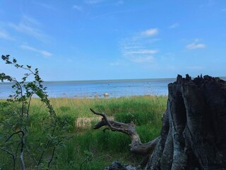 Holiday house Stavreby  35