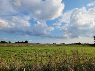 Casa de vacaciones Stavreby  36