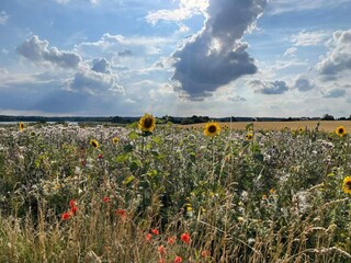 Casa de vacaciones Stavreby  25