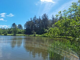 Vakantiehuis Løkken  31