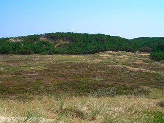 Casa per le vacanze Klitmøller  29