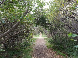 Casa de vacaciones Klitmøller  12