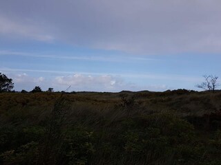 Maison de vacances Bratten Strand  16