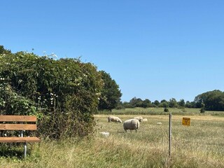 Maison de vacances Råbylille Strand  18