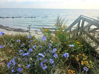 Holiday house Råbylille Strand  23