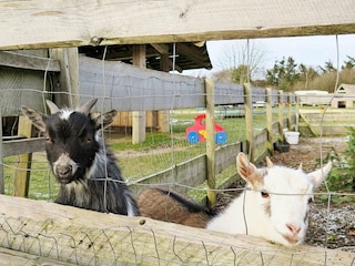 Ferienhaus Humlum  30