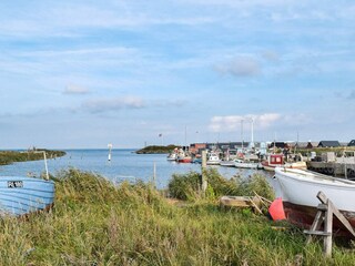 Ferienhaus Hvide Sande  28