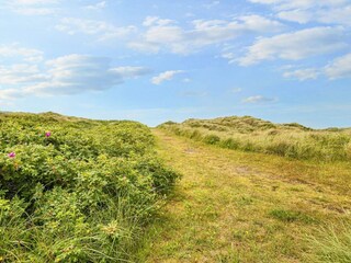 Ferienhaus Hvide Sande  54