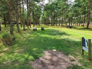 Casa de vacaciones Blåvand  26