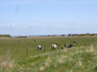 Apartment Sønderho Sogn  31