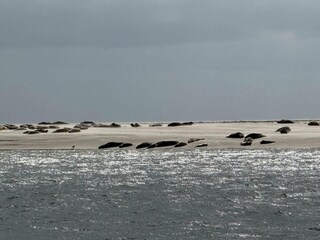 Appartamento Sønderho Sogn  39