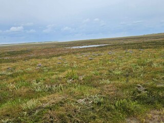 Maison de vacances Havneby  7