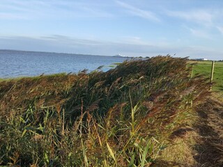 Casa per le vacanze Havneby  13