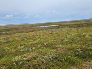 Maison de vacances Havneby  23