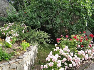 Casa per le vacanze Klädesholmen  13