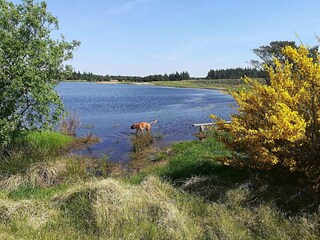 Holiday house Vejers Strand  15