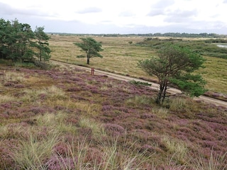 Casa de vacaciones Vejers Strand  7