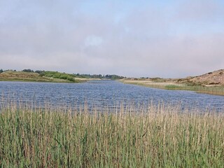 Holiday house Vejers Strand  18
