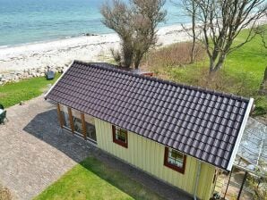 6 Personen Ferienhaus in Otterup - Otterup - image1