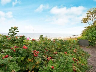 Ferienhaus Otterup  4